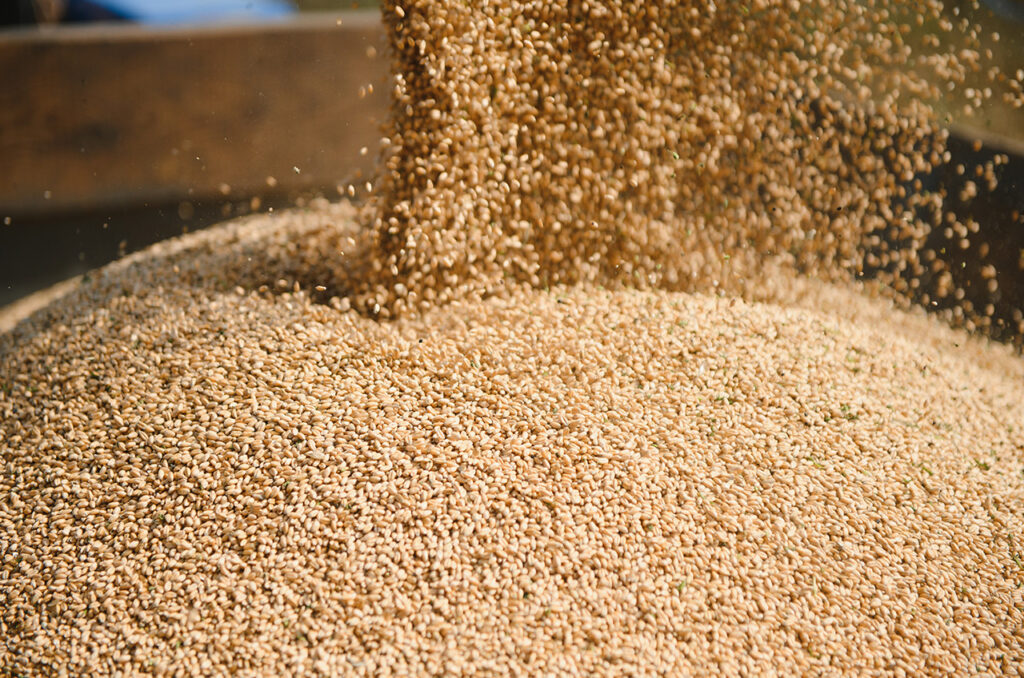 Agricultural Commodities moss agricultural commodities image 1